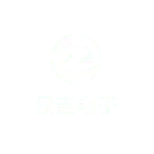 -山東眾志電子有限公司